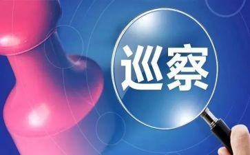 巡查组巡查工作总结8篇