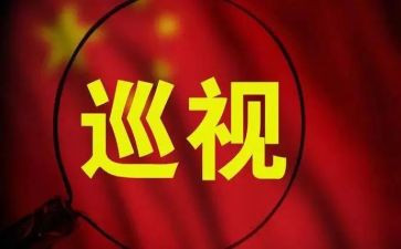 参加巡视工作总结5篇
