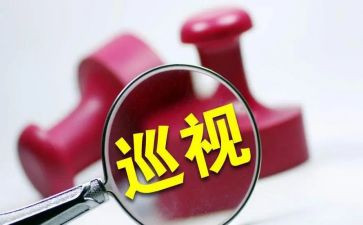 个人巡视工作总结5篇