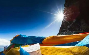 寻找身边的活雷锋作文8篇