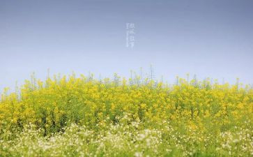 叙事作文700字6篇