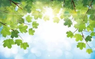 亲情叙事的作文推荐5篇