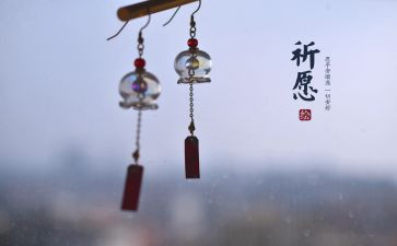许愿花作文5篇