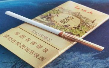 烟的读后感400字通用6篇