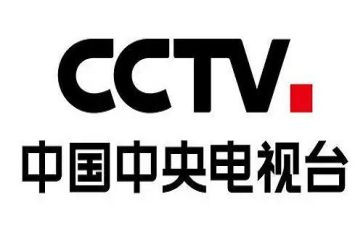 央视榜样心得体会参考8篇