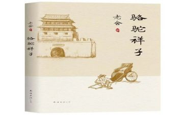 风的样子作文模板7篇