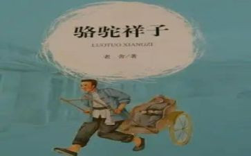 风的样子作文600字参考5篇