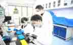 徐的研究调查报告5篇