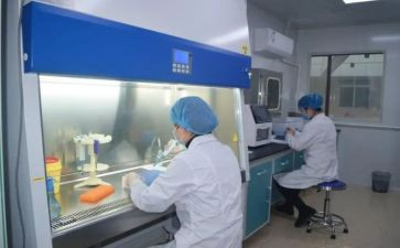 水化验员个人年终总结最新8篇