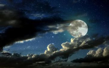 第一次走夜路作文8篇