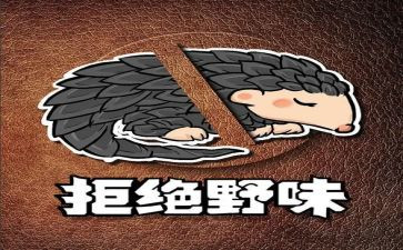关于拒绝野味演讲稿7篇