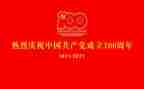 干部建党一百周年心得体会8篇