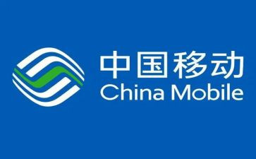 2024年移动个人年终工作总结5篇