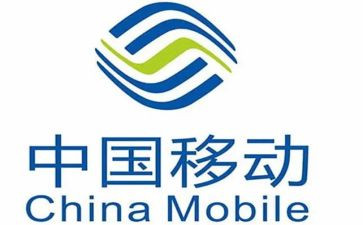 移动客户经理年终总结8篇