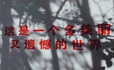 我遗憾的人作文精选7篇