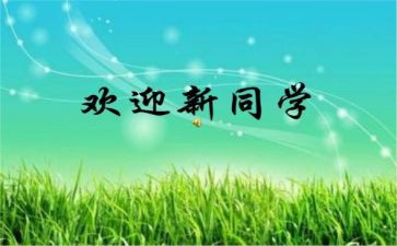 有创意的迎新活动方案策划7篇