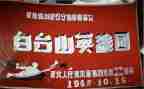 我心目中的三国英雄作文5篇