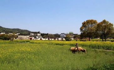 印象深刻的作文模板7篇