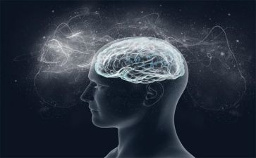 2024年个人意识形态工作总结5篇