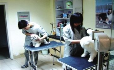 2024医院工作总结8篇