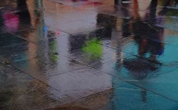 汉字雨的教案5篇