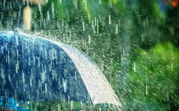 大班汉字雨的教案8篇