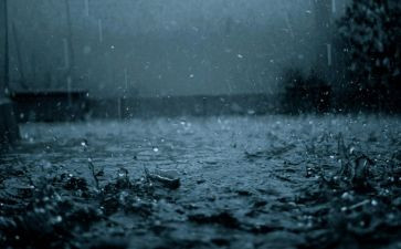 《雨》作文600字模板8篇
