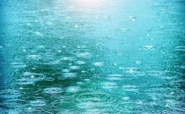 幼儿园大班关于雨的教案6篇