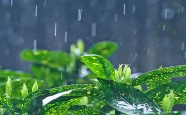 幼儿园大雨和小雨教案5篇