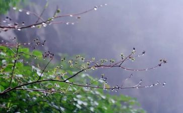 《雨》作文600字精选8篇