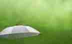 九年级作文雨600字作文8篇