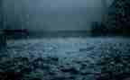 《雨》作文600字模板8篇
