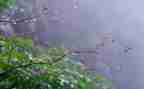 《雨》作文600字精选8篇