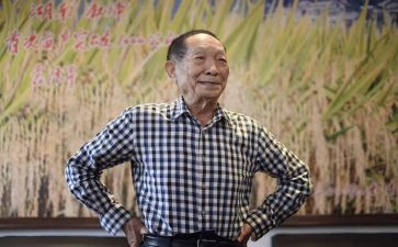 关于袁隆平的事迹6篇
