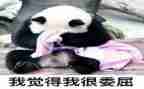 我冤枉了他作文6篇
