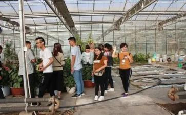 园艺站年终个人总结8篇
