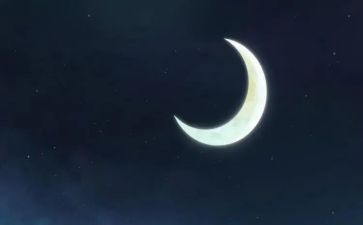 赏月亮作文400字通用5篇