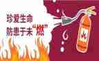 预防学生欺凌教案5篇