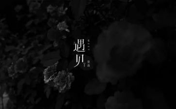 遇见2024演讲稿8篇