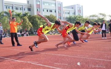 2024年杭州亚运会作文5篇