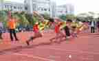 2024年杭州亚运会作文5篇