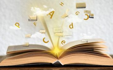 语言文字培训的心得体会7篇