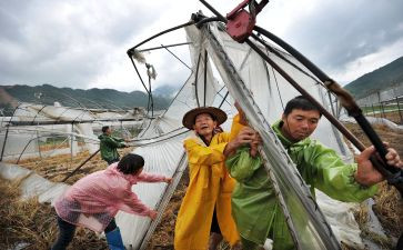 住房灾后申请书优质5篇