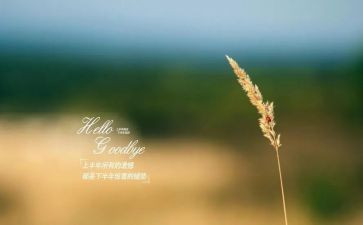 再见吧2024演讲稿7篇
