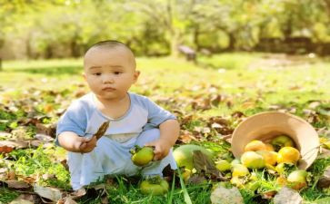 摘果子幼儿园教案5篇