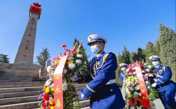 张从顺·张子权先进事迹观后感推荐8篇