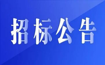 招标办工作总结8篇