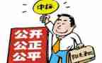 招标代理个人总结8篇