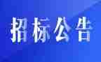 招标办工作总结8篇
