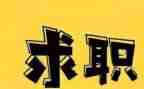 找工作写简历模板5篇